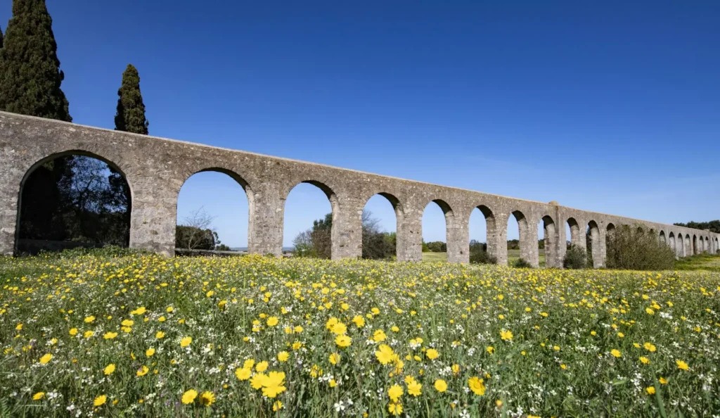 A Day in Évora: Roman Ruins and the Chapel of Bones 7 aqueduto